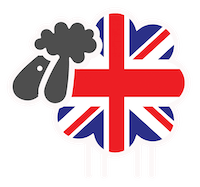 English language selector